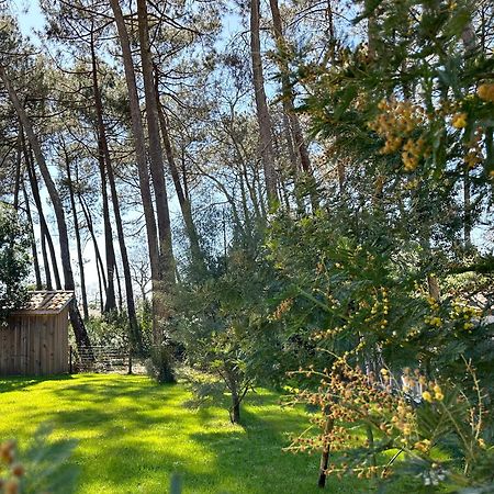 Villa Sophie Лантон Екстер'єр фото