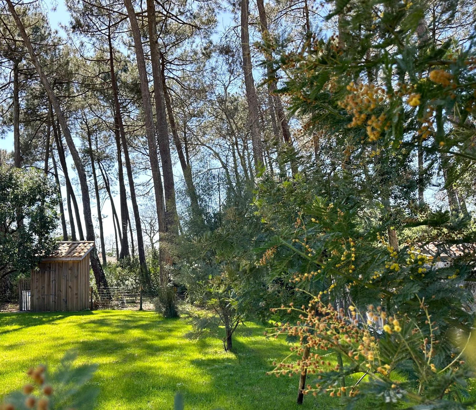 Villa Sophie Лантон Екстер'єр фото